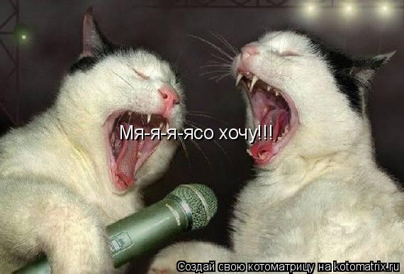 Мя-я-я-ясо хочу!!!... Котоматрица: Мя-я-я-ясо хочу!!!