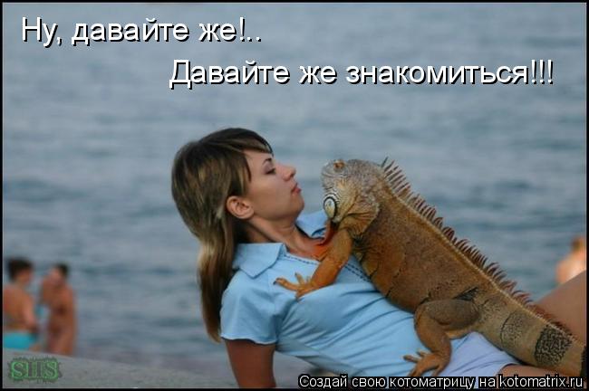 Ну, давайте же!.. Давайте же знакомиться!!!... Котоматрица: Ну, давайте же!.. Давайте же знакомиться!!!
