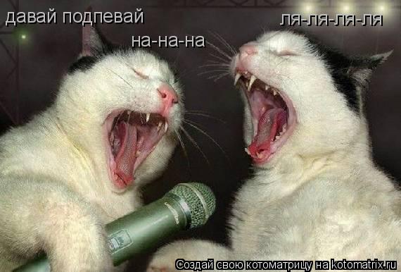 Котоматрица: давай подпевай ля-ля-ля-ля на-на-на