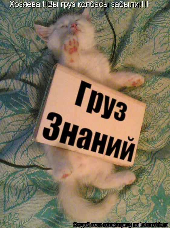 Хозяева!!!Вы груз колбасы забыли!!!!... Котоматрица: Хозяева!!!Вы груз колбасы забыли!!!!