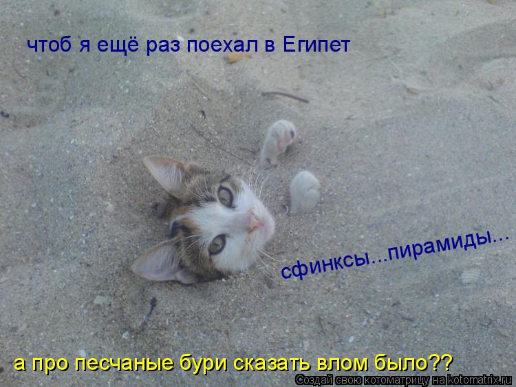 чтоб я ещё раз поехал в Египет а про песчаные бури сказать влом было?? сфинксы...пирамиды...... Котоматрица: чтоб я ещё раз поехал в Египет а про песчаные бури сказать влом было?? сфинксы...пирамиды...