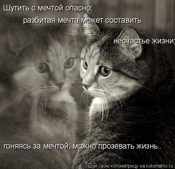 Шутить с мечтой опасно; разбитая мечта может составить несчастье жизни; гоняясь за мечтой, можно проз... Котоматрица: Шутить с мечтой опасно; разбитая мечта может составить несчастье жизни; гоняясь за мечтой, можно прозевать жизнь….