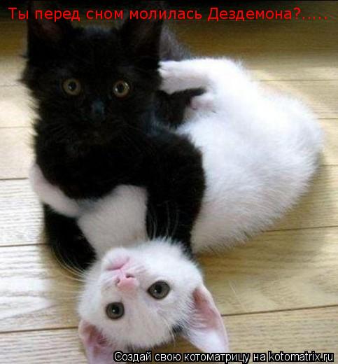 Ты перед сном молилась Дездемона?........ Котоматрица: Ты перед сном молилась Дездемона?.....