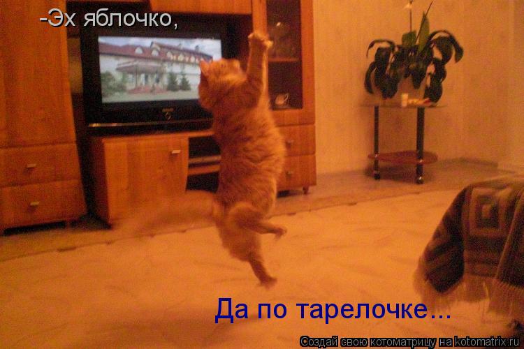 Котоматрица: -Эх яблочко,  Да по тарелочке...