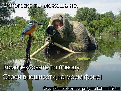 Котоматрица: Фотограф,ты можешь не, Комплексовать по поводу Своей внешности,на моём фоне!