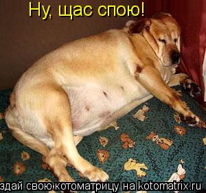 Котоматрица: Ну, щас спою!