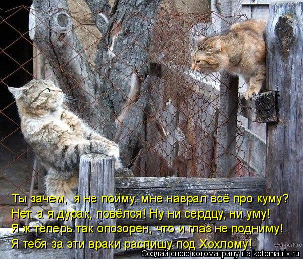 Ты зачем, я не пойму, мне наврал всё про куму? Я ж теперь так опозорен, что и глаз не подниму! Я теб... Котоматрица: Ты зачем, я не пойму, мне наврал всё про куму? Я ж теперь так опозорен, что и глаз не подниму! Я тебя за эти враки распишу под Хохлому! Нет, а я д