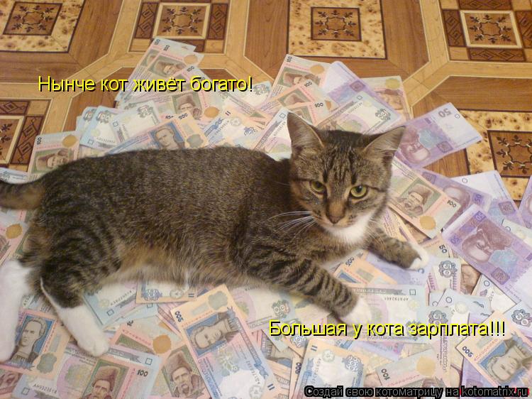 Котоматрица: Нынче кот живёт богато! Большая у кота зарплата!!!