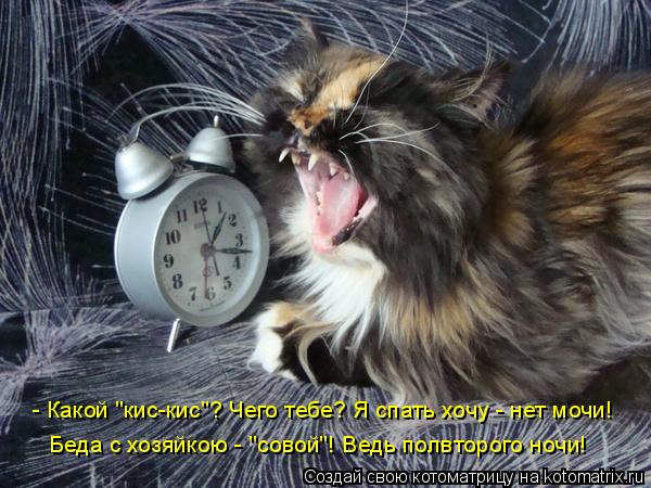 - Какой "кис-кис"? Чего тебе? Я спать хочу - нет мочи! Беда с хозяйкою - "совой"! Ведь полвторого ноч... Котоматрица: - Какой "кис-кис"? Чего тебе? Я спать хочу - нет мочи! Беда с хозяйкою - "совой"! Ведь полвторого ночи!