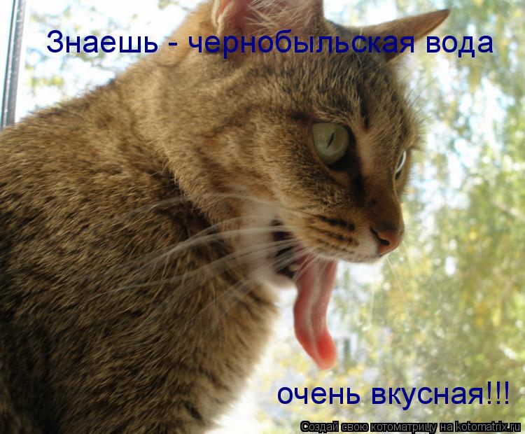 Котоматрица: Знаешь - чернобыльская вода очень вкусная!!!