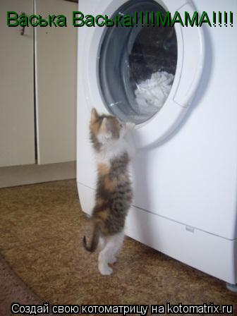 Котоматрица: Васька Васька!!!!МАМА!!!!