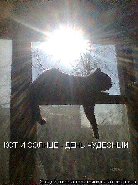 КОТ И СОЛНЦЕ - ДЕНЬ ЧУДЕСНЫЙ... Котоматрица: КОТ И СОЛНЦЕ - ДЕНЬ ЧУДЕСНЫЙ