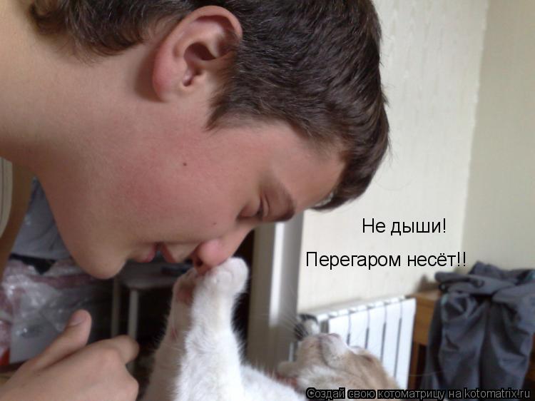 Не дыши! Перегаром несёт!!... Котоматрица: Не дыши! Перегаром несёт!!