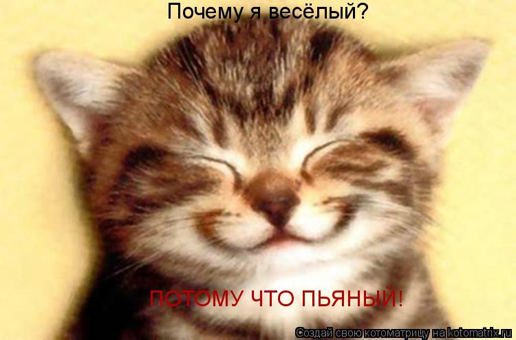 Почему я весёлый? ПОТОМУ ЧТО ПЬЯНЫЙ!... Котоматрица: Почему я весёлый? ПОТОМУ ЧТО ПЬЯНЫЙ!