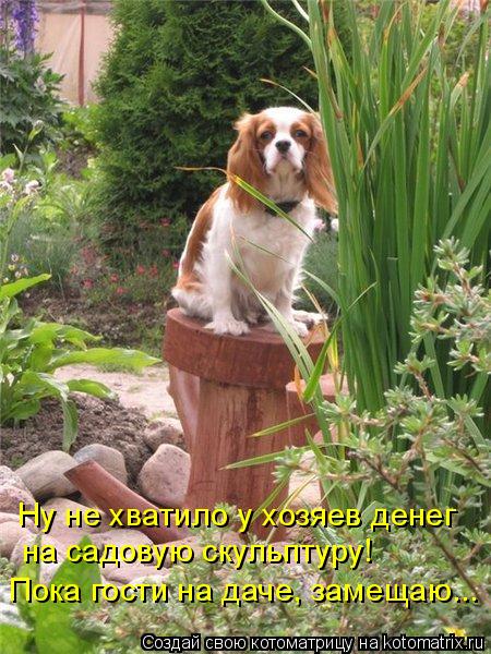 Пока гости на даче, замещаю... на садовую скульптуру! Ну не хватило у хозяев денег... Котоматрица: Пока гости на даче, замещаю... на садовую скульптуру! Ну не хватило у хозяев денег