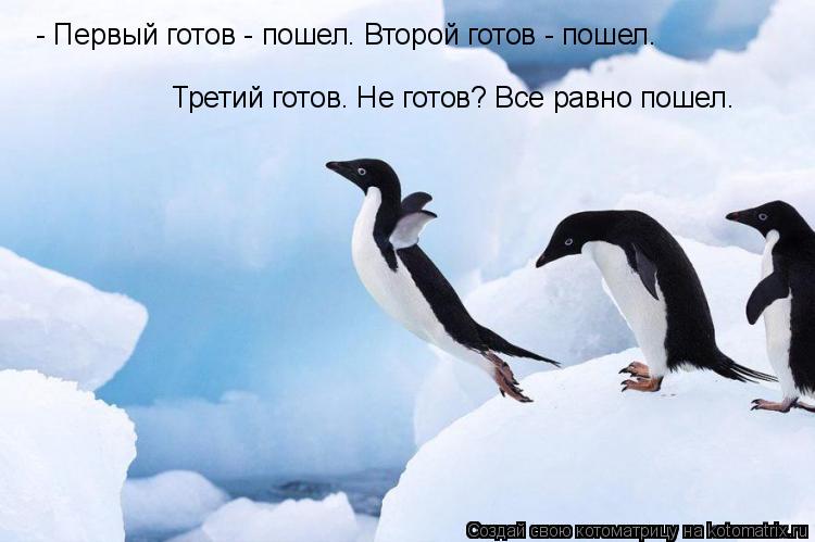 Котоматрица: - Первый готов - пошел. Второй готов - пошел.  Третий готов. Не готов? Все равно пошел.