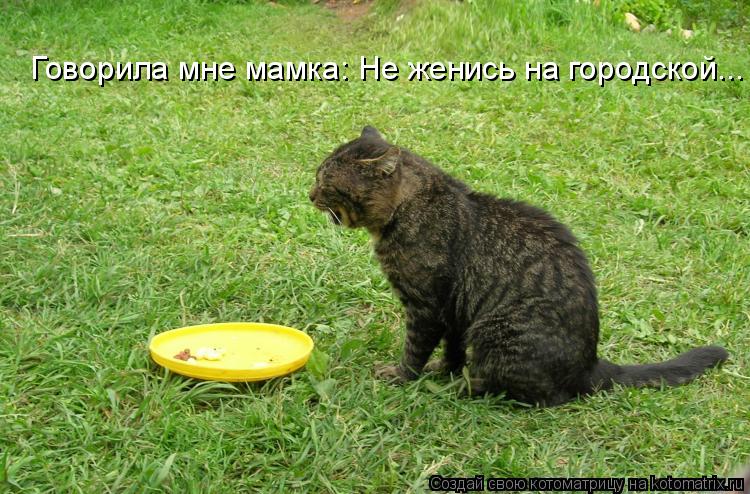 Котоматрица: Говорила мне мамка: Не женись на городской...