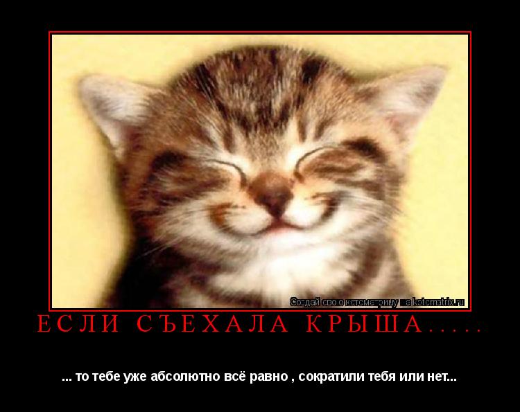 Если съехала крыша..... ... то тебе уже абсолютно всё равно , сократили тебя или нет...... Котоматрица: Если съехала крыша..... ... то тебе уже абсолютно всё равно , сократили тебя или нет...