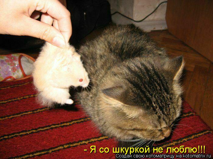 Котоматрица: - Я со шкуркой не люблю!!!