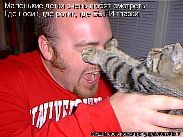 Котоматрица: Маленькие детки очень любят смотреть: Где носик, где ротик, где БЫЛИ глазки...