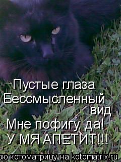 Котоматрица: Пустые глаза Бессмысленный вид Мне пофигу, да! У МЯ АПЕТИТ!!!
