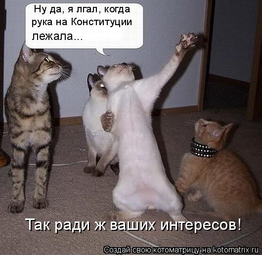 Котоматрица: Ну да, я лгал, когда рука на Конституции  лежала... Так ради ж ваших интересов!