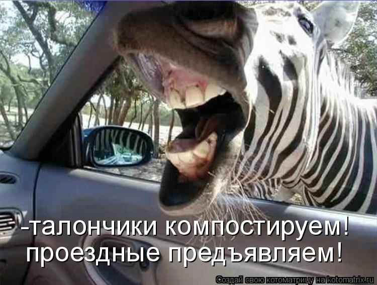 -талончики компостируем! проездные предъявляем!... Котоматрица: -талончики компостируем! проездные предъявляем!