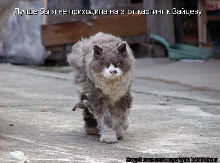 Котоматрица: Лучше бы я не приходила на этот кастинг к Зайцеву