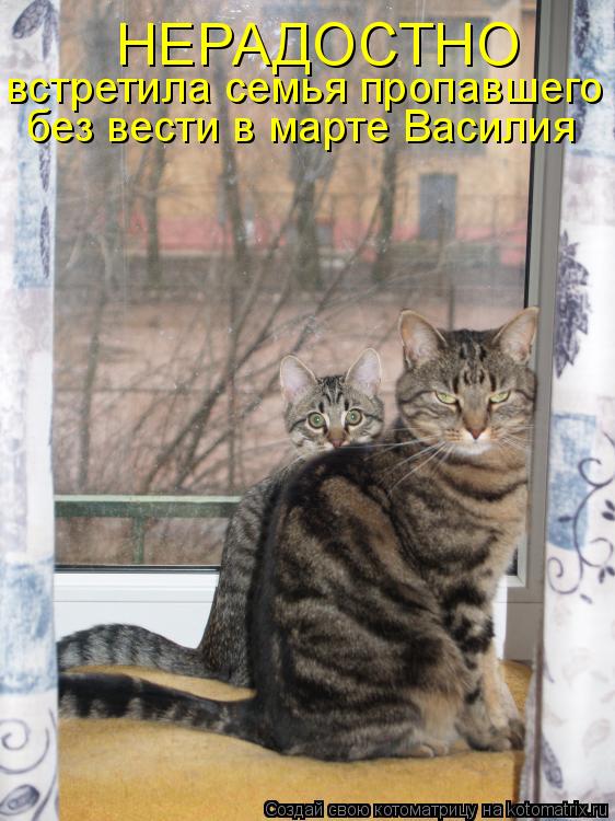 Котоматрица: НЕРАДОСТНО  встретила семья пропавшего без вести в марте Василия  без вести в марте Василия