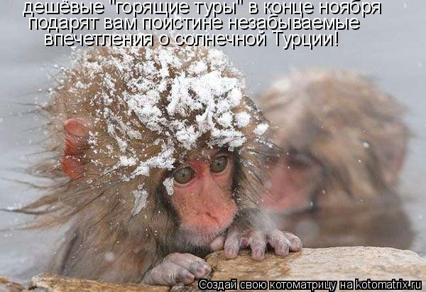 дешёвые "горящие туры" в конце ноября подарят вам поистине незабываемые впечетления о солнечной Тур... Котоматрица: дешёвые "горящие туры" в конце ноября подарят вам поистине незабываемые впечетления о солнечной Турции!