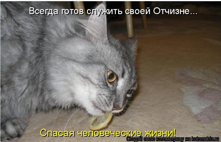 Всегда готов служить своей Отчизне... Спасая человеческие жизни!... Котоматрица: Всегда готов служить своей Отчизне... Спасая человеческие жизни!