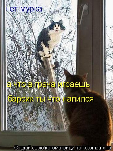 Котоматрица: барсик ты что напился нет мурка а что в грача играешь