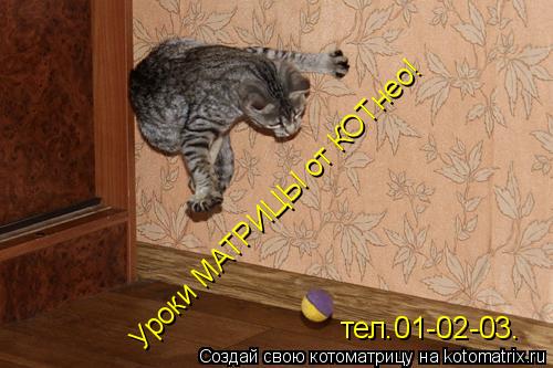Котоматрица: Уроки МАТРИЦЫ от КОТнео! тел.01-02-03.