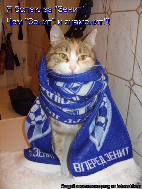 Я болею за "Зенит"! Я болею за "Зенит"! Чем "Зенит" и знаменит!!! Чем "Зенит" и знаменит!!!... Котоматрица: Я болею за "Зенит"! Я болею за "Зенит"! Чем "Зенит" и знаменит!!! Чем "Зенит" и знаменит!!!