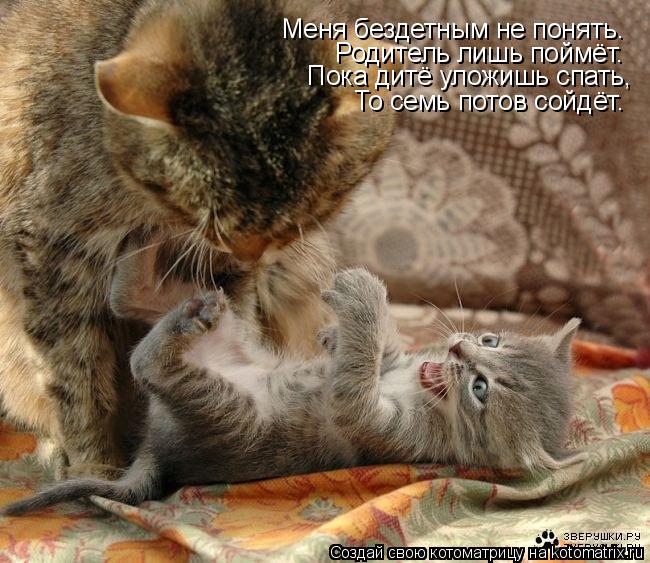 Меня бездетным не понять. Родитель лишь поймёт. Пока дитё уложишь спать, То семь потов сойдёт.... Котоматрица: Меня бездетным не понять. Родитель лишь поймёт. Пока дитё уложишь спать, То семь потов сойдёт.