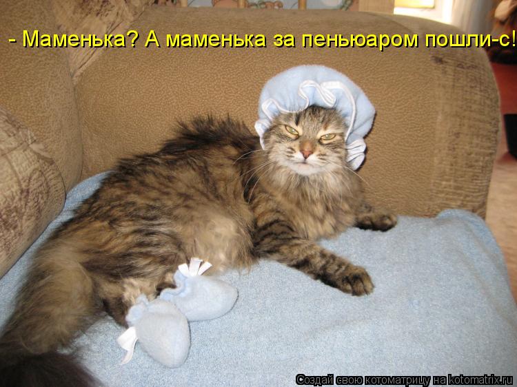 Котоматрица: - Маменька? А маменька за пеньюаром пошли-с!