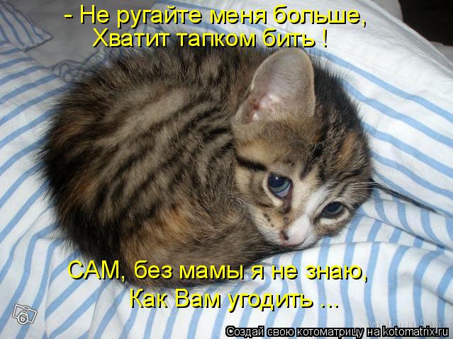 - Не ругайте меня больше, Хватит тапком бить ! САМ, без мамы я не знаю, Как Вам угодить ...... Котоматрица: - Не ругайте меня больше, Хватит тапком бить ! САМ, без мамы я не знаю, Как Вам угодить ...