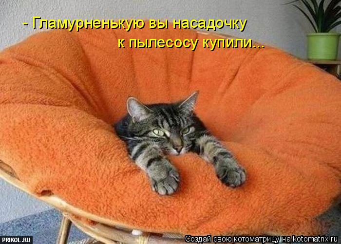 Котоматрица: - Гламурненькую вы насадочку к пылесосу купили...