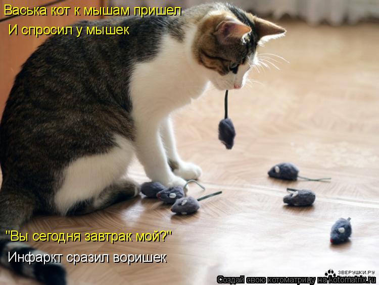 Котоматрица: Васька кот к мышам пришел И спросил у мышек "Вы сегодня завтрак мой?" Инфаркт сразил воришек
