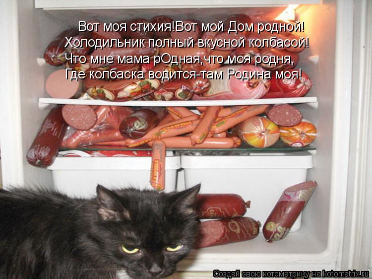 Вот моя стихия!Вот мой Дом родной! Холодильник полный вкусной колбасой! Что мне мама рОдная,что моя р... Котоматрица: Вот моя стихия!Вот мой Дом родной! Холодильник полный вкусной колбасой! Что мне мама рОдная,что моя родня, Где колбаска водится-там Родина м