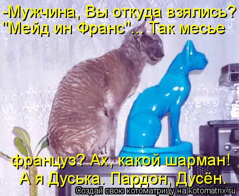 -Мужчина, Вы откуда взялись? "Мейд ин Франс"... Так месье француз? Ах, какой шарман! А я Дуська. П... Котоматрица: -Мужчина, Вы откуда взялись? "Мейд ин Франс"... Так месье француз? Ах, какой шарман! А я Дуська. Пардон, Дусён.