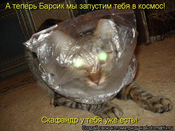 Котоматрица: А теперь Барсик мы запустим тебя в космос! Скафандр у тебя уже есть!