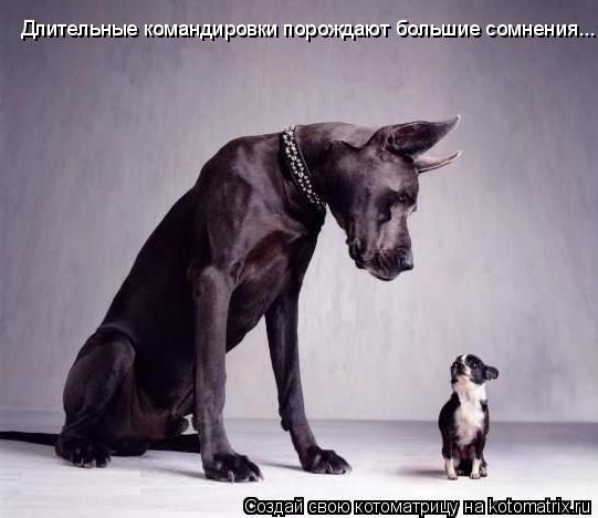 Котоматрица: Длительные командировки порождают большие сомнения... Длительные командировки порождают большие сомнения...