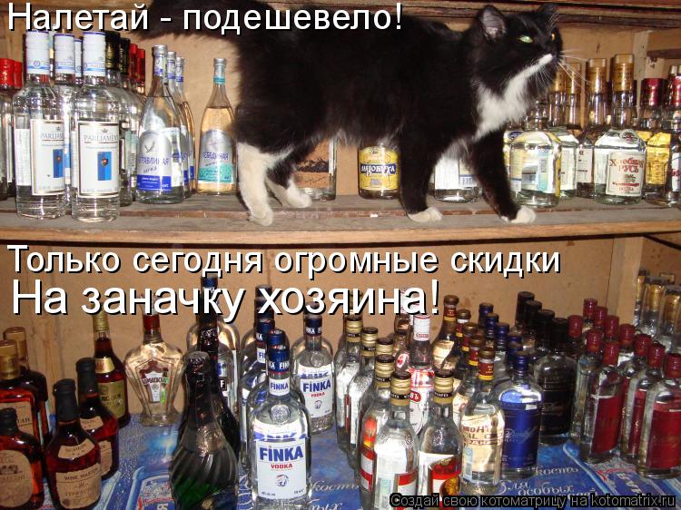 Котоматрица: Налетай - подешевело! Только сегодня огромные скидки На заначку хозяина!