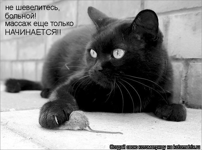 Котоматрица: не шевелитесь, больной! не шевелитесь,  больной! массаж еще только НАЧИНАЕТСЯ!!