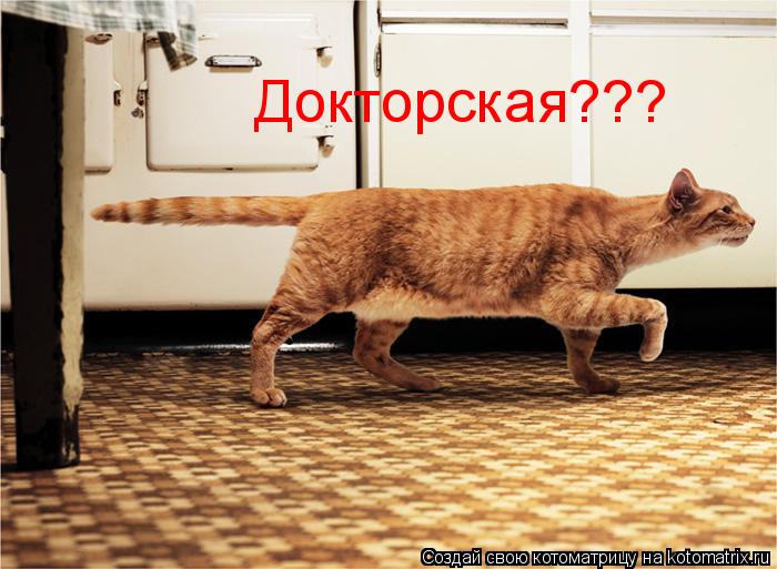 Котоматрица: Докторская???