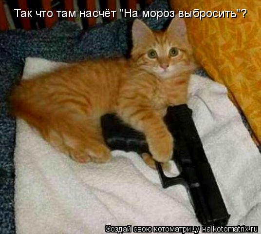 Котоматрица: Так что там насчёт "На мороз выбросить"?