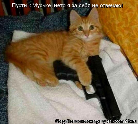 Котоматрица: Пусти к Муське, нето я за себя не отвечаю!