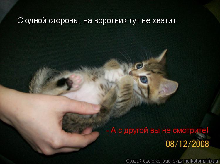 Котоматрица: С одной стороны, на воротник тут не хватит... - А с другой вы не смотрите!
