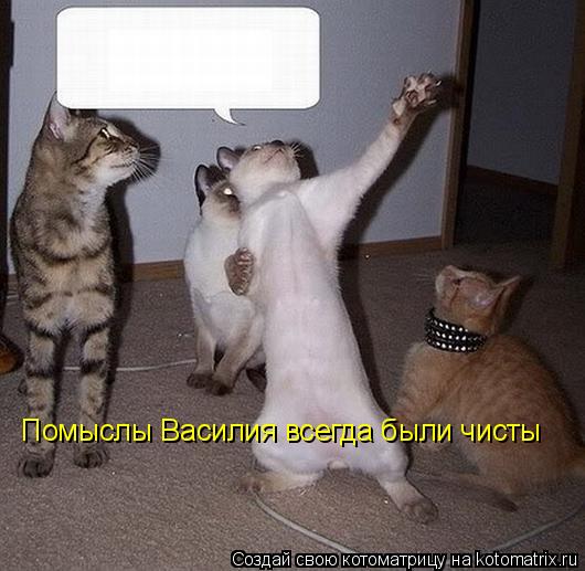 Помыслы Василия всегда были чисты... Котоматрица: Помыслы Василия всегда были чисты